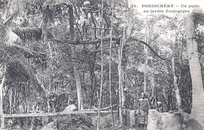 09-16 - Pondichery - jardin zoologique - puits